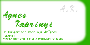 agnes kaprinyi business card